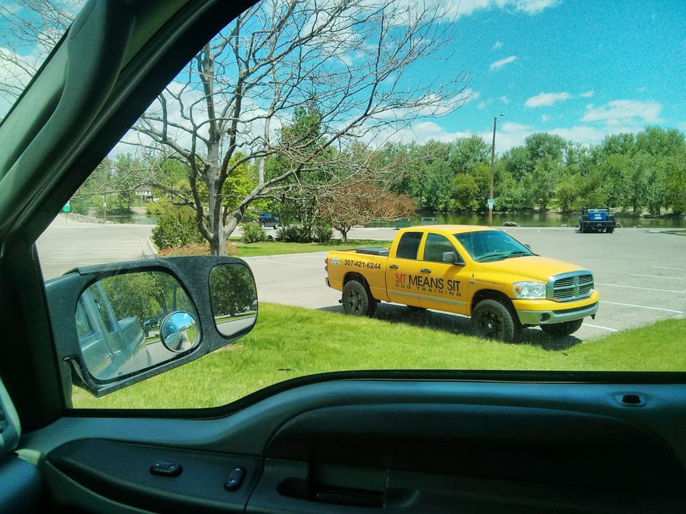 Somebody has a low view of how easy it is to train dogs :)