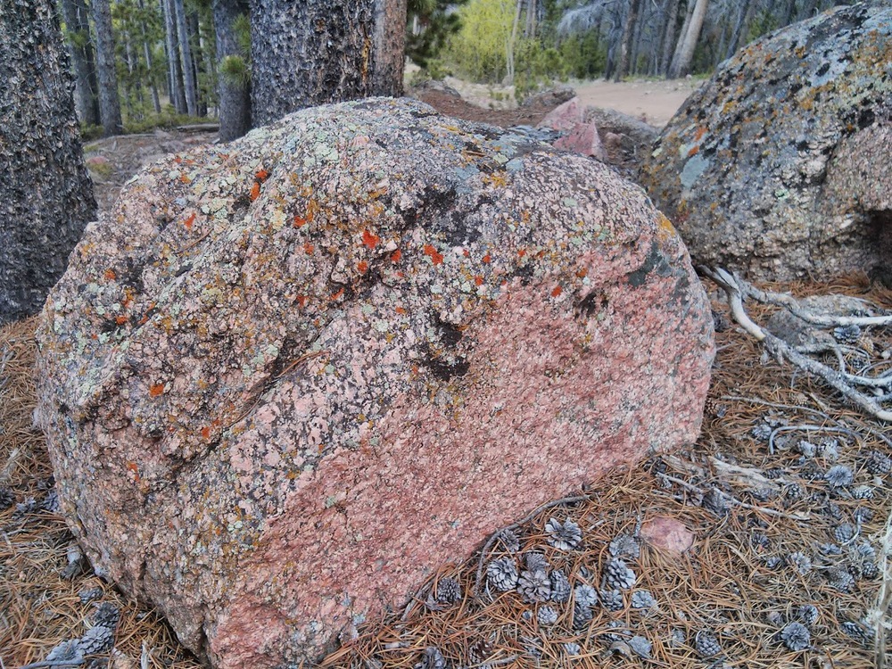 Happy Jack is home to several indigenous forms of rock, and I suspect this is one of them.