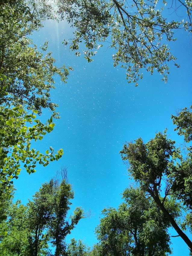 Colorado has these things I call 