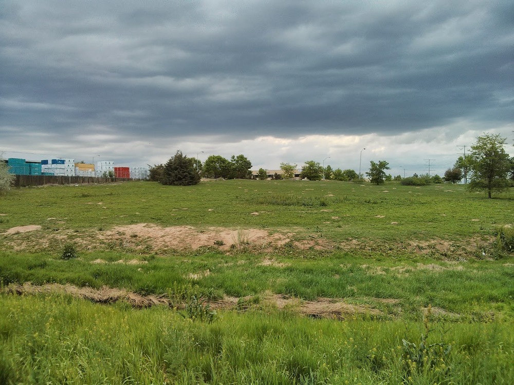 There were probably a hundred groundhog holes in this field, with plenty of the critters scurrying and chittering about