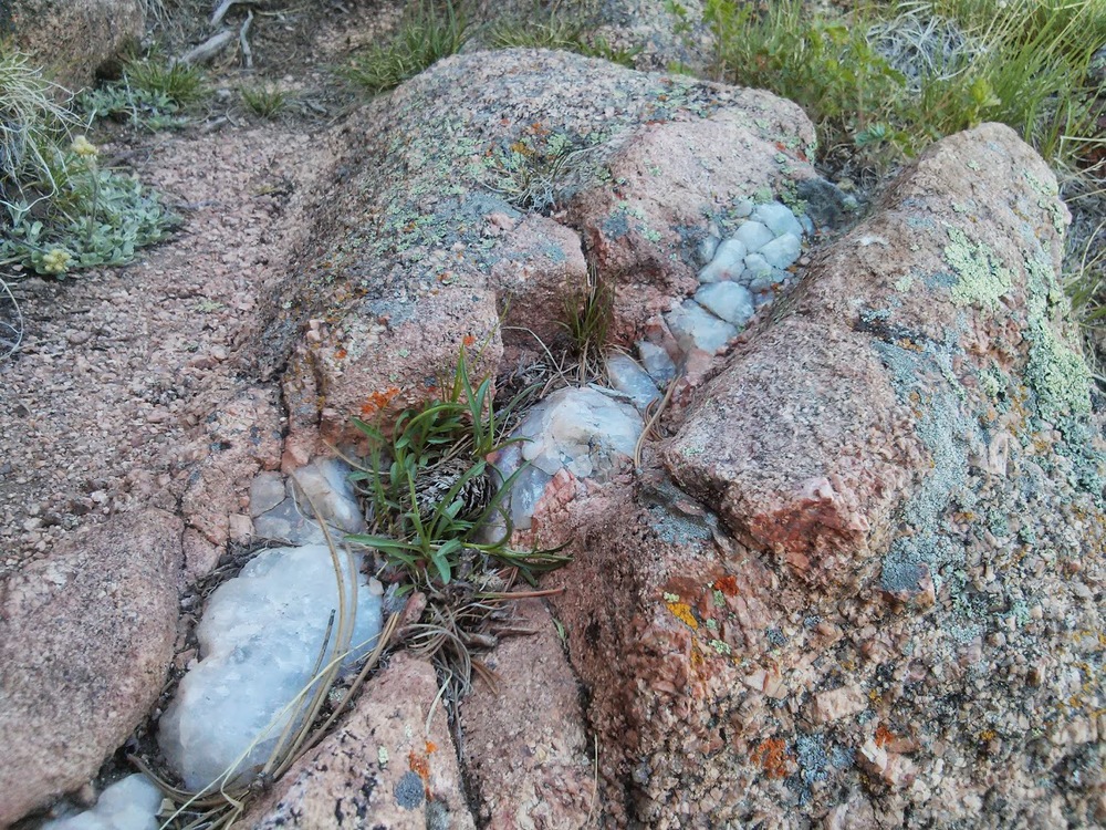 It's neat to see large pieces of quartz naturally growing out here