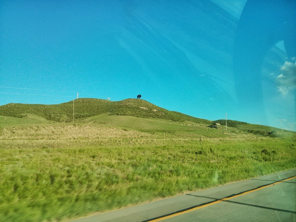 Yep, 20 years later, that cutout of a buffalo I passed so often as a child is still standing on that hill.